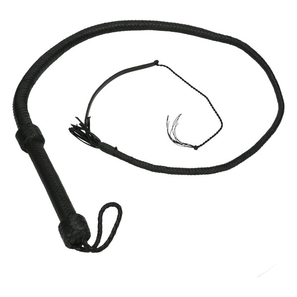 Bullwhip