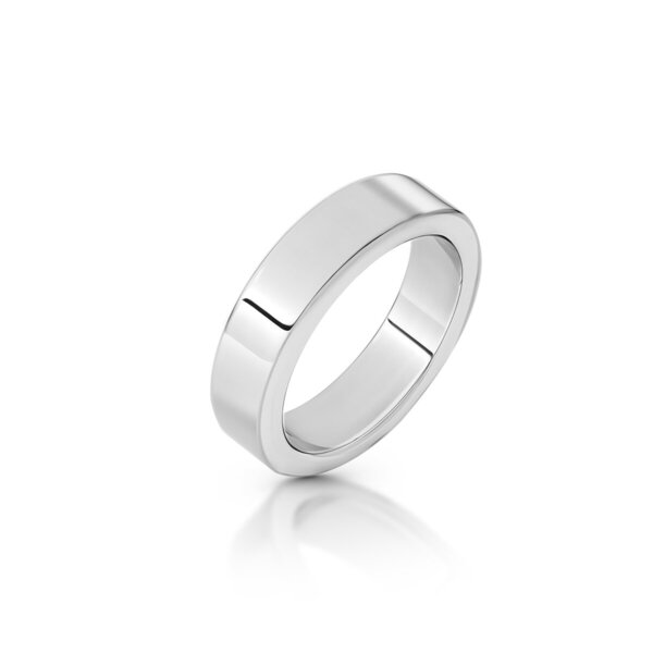Schlichter Cockring aus Edelstahl, Ø 35 bis 55 mm